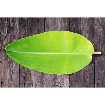 Green Paper Banana Leaf